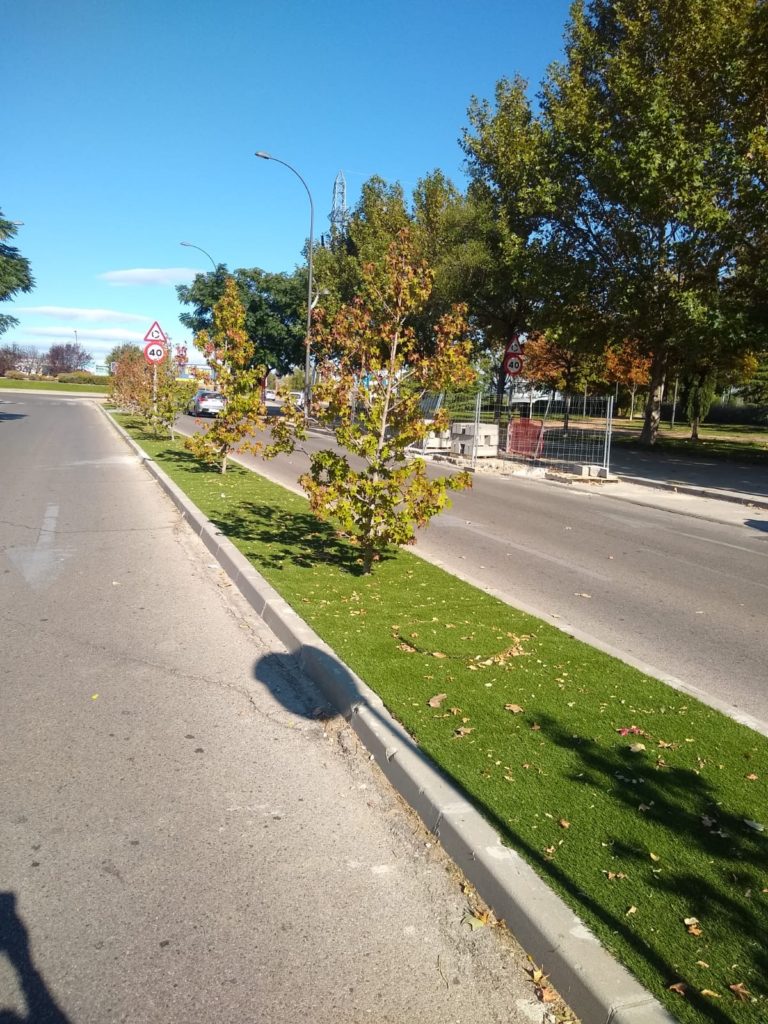 Texto Alternativo: Tres nuevas actuaciones en el Plan de Embellecimiento y Limpieza de la Ciudad