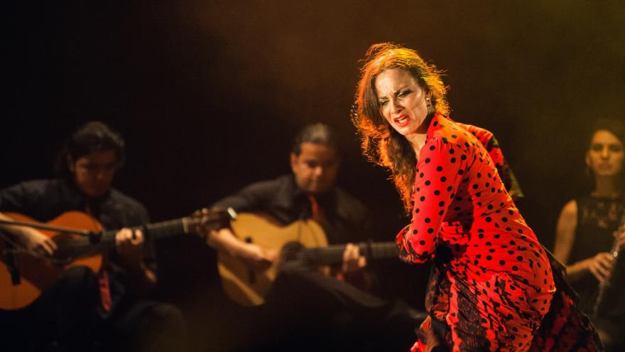Texto Alternativo: La Comunidad presentamos la I edición de la Muestra Miradas Flamenkas