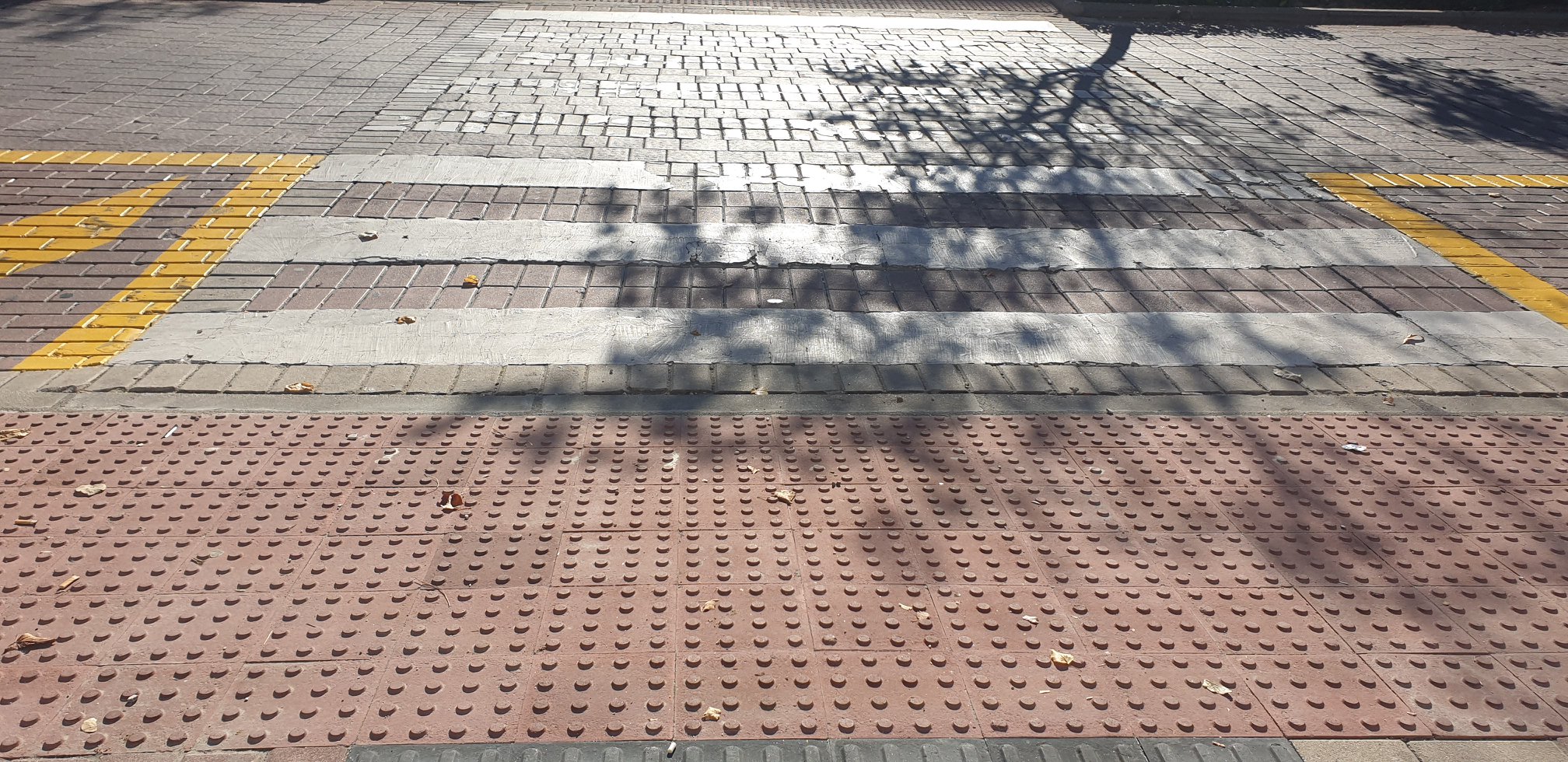 Texto Alternativo: El Ayuntamiento, la Asociación Integravilla y Más Madrid Villaviciosa mantienen un encuentro para abordar diversos temas de accesibilidad en la localidad