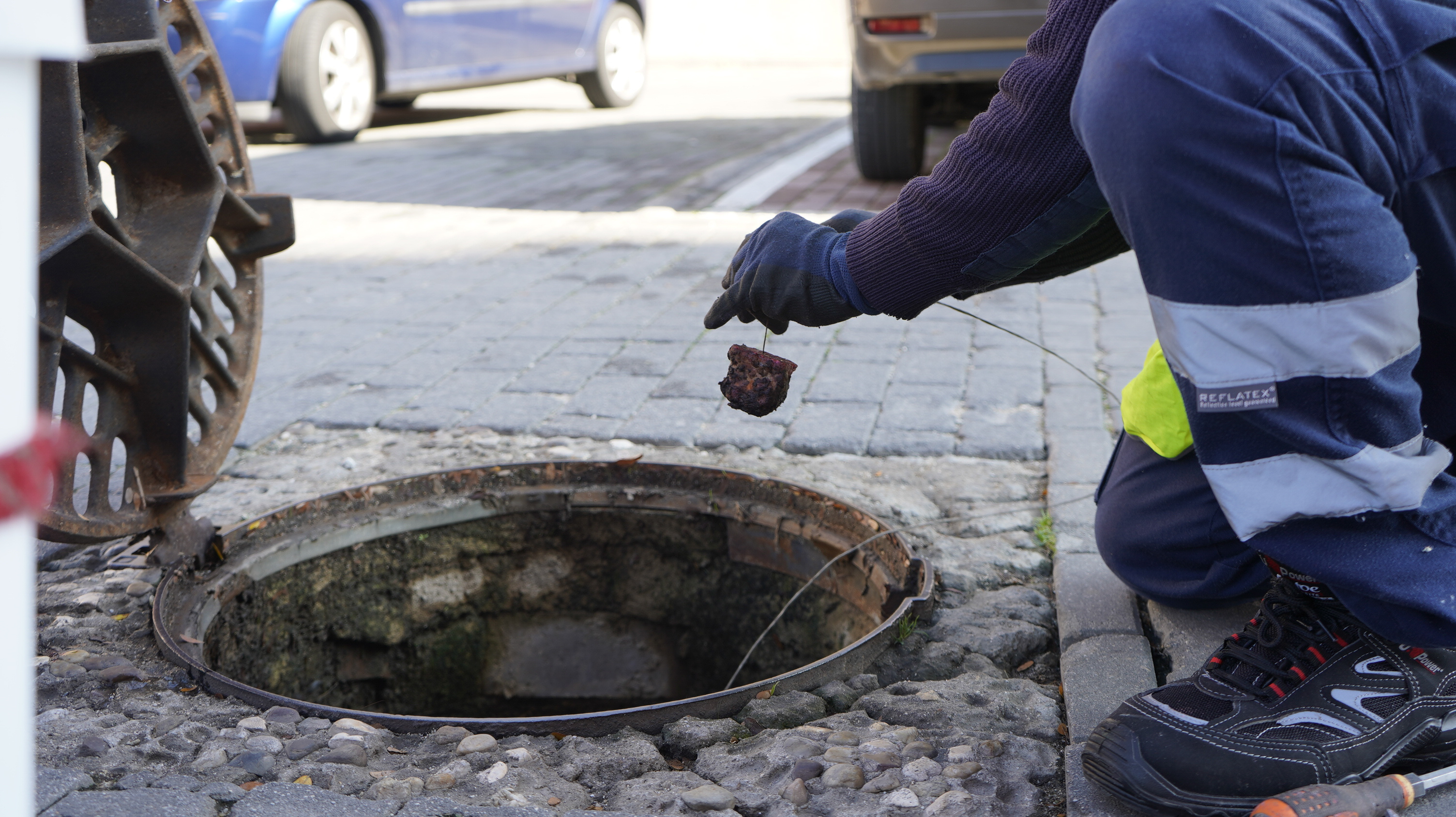 Texto Alternativo: Arranca en Móstoles la cuarta campaña anual de control de plagas
