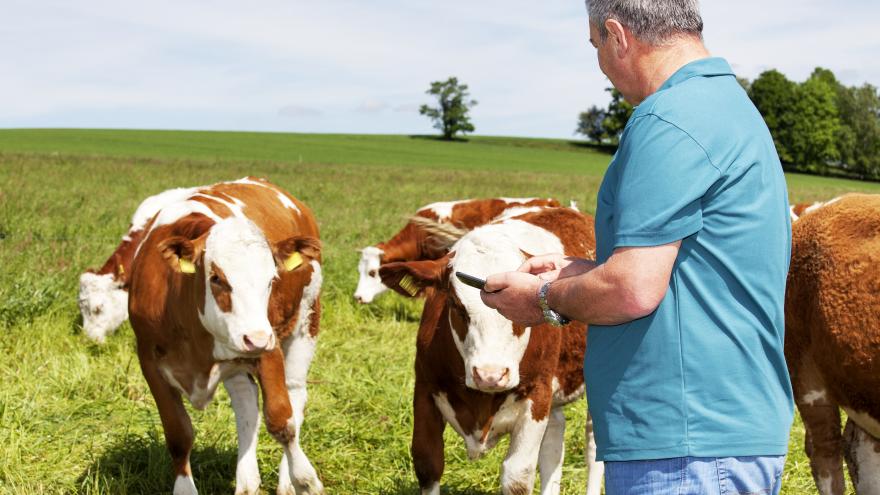 Texto Alternativo: La Comunidad de Madrid destina 2,8 millones en ayudas al sector ganadero y la industria alimentaria