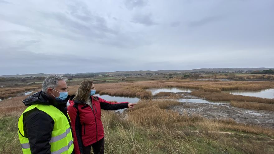 Texto Alternativo: La Comunidad de Madrid invierte 500.000 euros en la mejora de la biodiversidad de la Laguna de San Juan