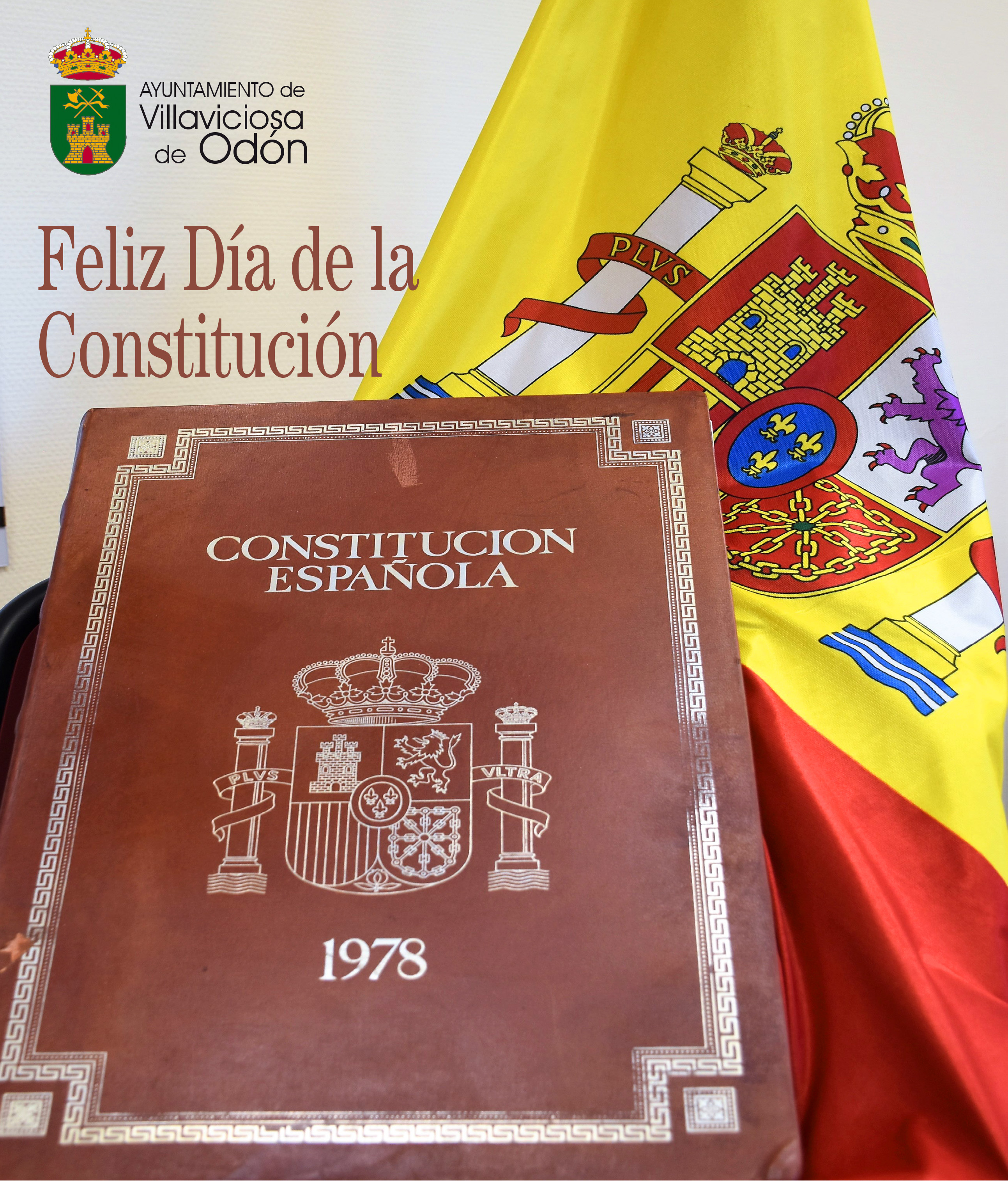 Texto Alternativo: ¡Feliz Día de la Constitución!