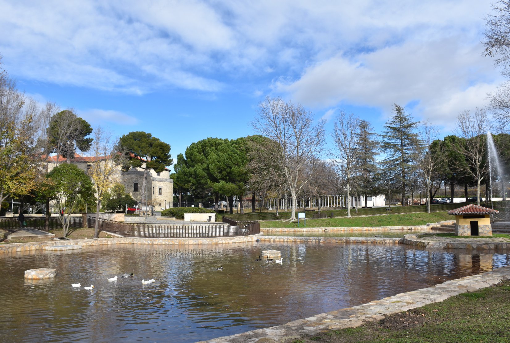 Texto Alternativo: Los patos regresan al estanque del parque de El Castillo después de los trabajos de renovación
