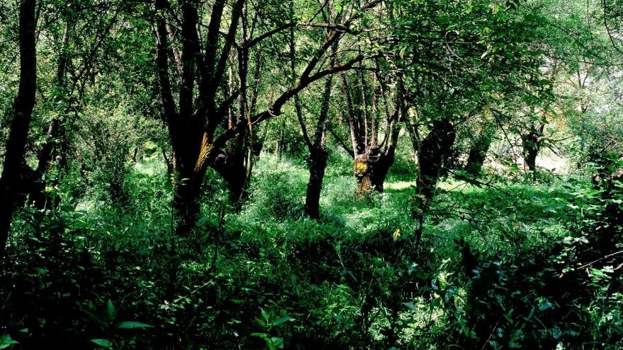 Texto Alternativo: Fomentamos las actividades de los Centros de Visitantes del Parque Nacional Sierra de Guadarrama