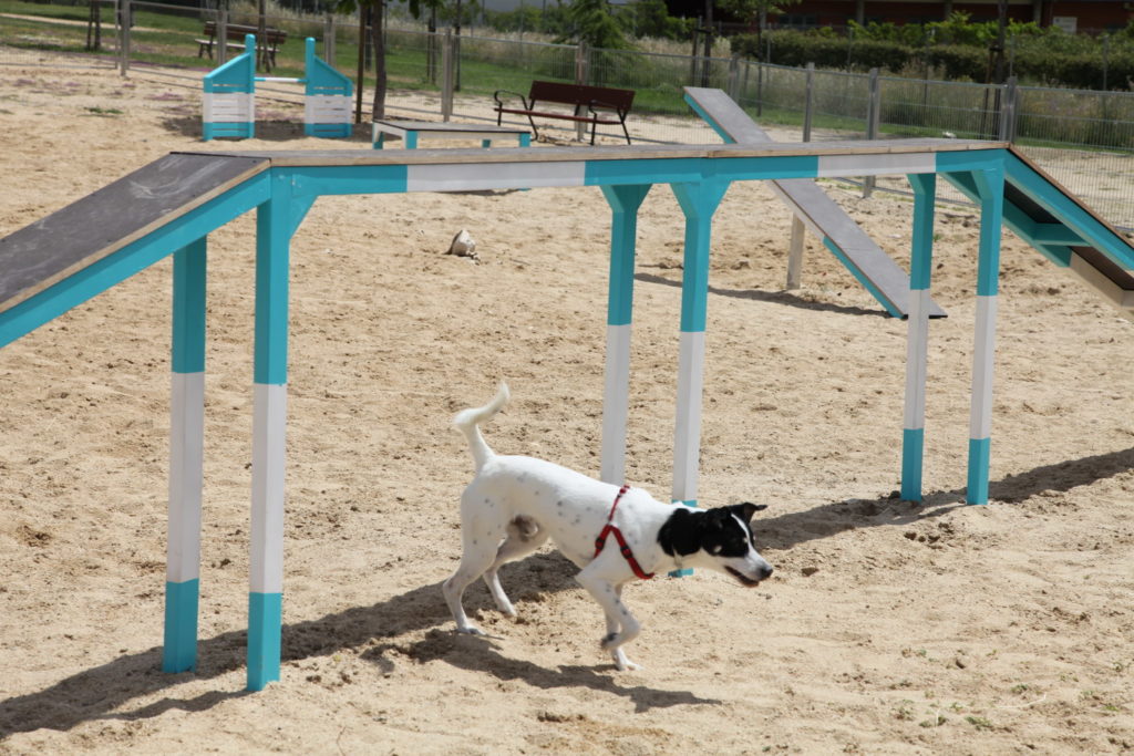Texto Alternativo: Getafe aprueba una Ordenanza que regule las áreas caninas