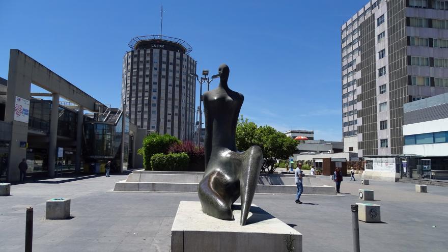 Texto Alternativo: El Hospital Universitario La Paz realiza su trasplante renal pediátrico número 500