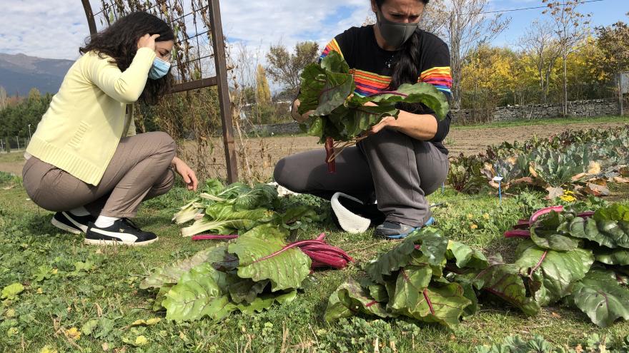 Texto Alternativo: El Gobierno de la Comunidad propone en marcha un nuevo Laboratorio de Agricultura Abierta en Aranjuez