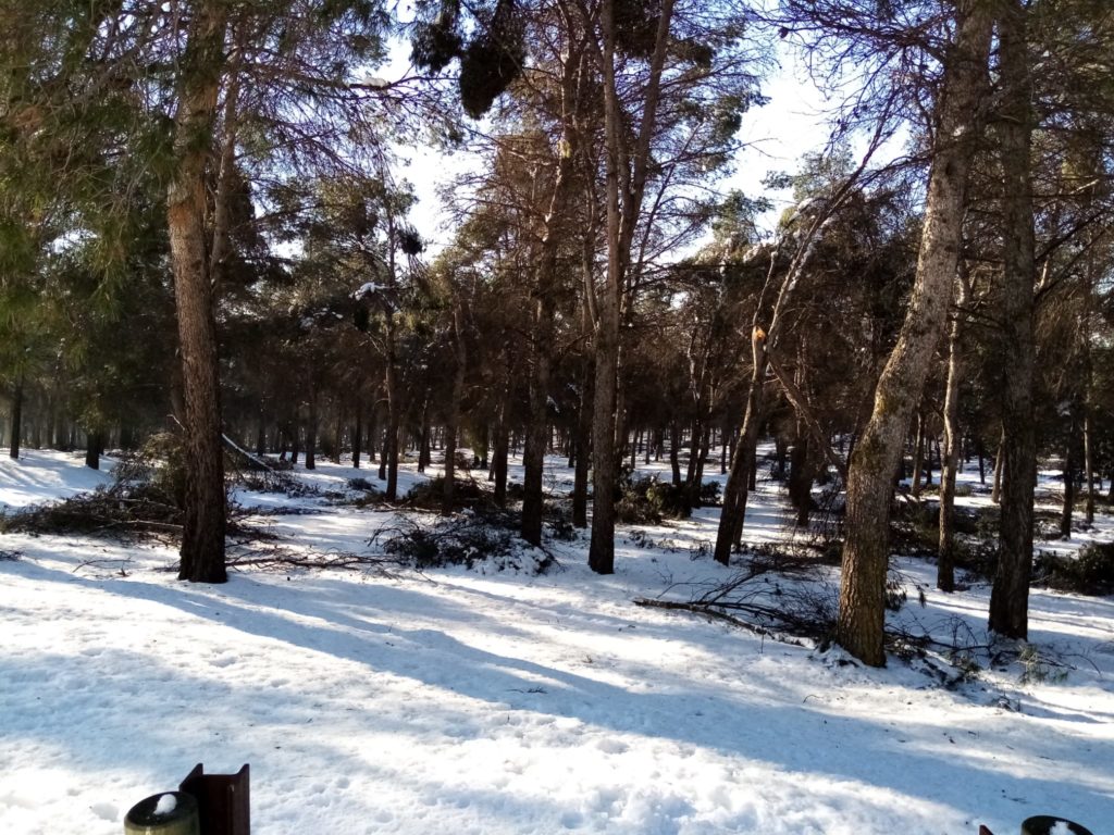 Texto Alternativo: Getafe pide el despliegue del Cuerpo de Agentes Forestales