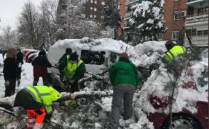 Texto Alternativo: Alcorcón solicita ser declarada zona afectada gravemente por una emergencia e insta a la Comunidad a crear un Fondo Regional Extraordinario de Ayudas a los municipios