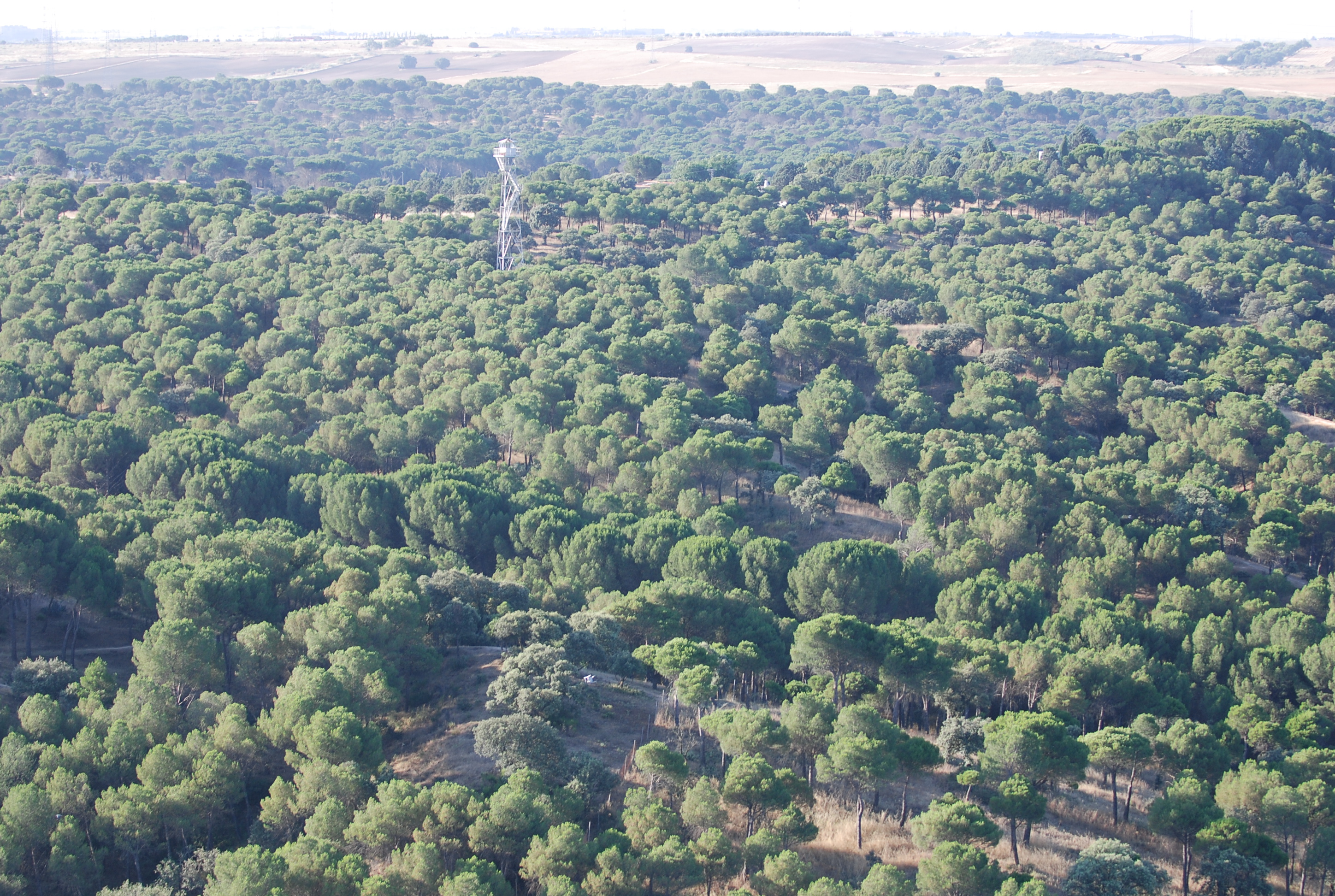 Texto Alternativo: La Corporación aprueba por unanimidad el Plan de Actuación Municipal ante Emergencias por Incendios Forestales de Villaviciosa de Odón