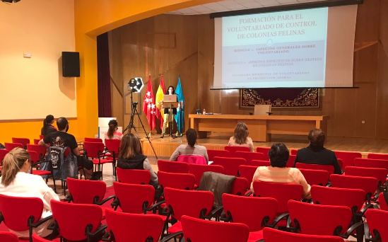 Texto Alternativo: Leganés pone en marcha un Plan Municipal de Gestión Ética de las Colonias Felinas