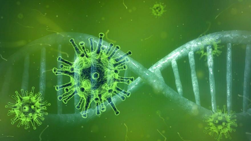Texto Alternativo: El Hospital Severo Ochoa estudia la eficacia de la vitamina D3 en pacientes COVID-19