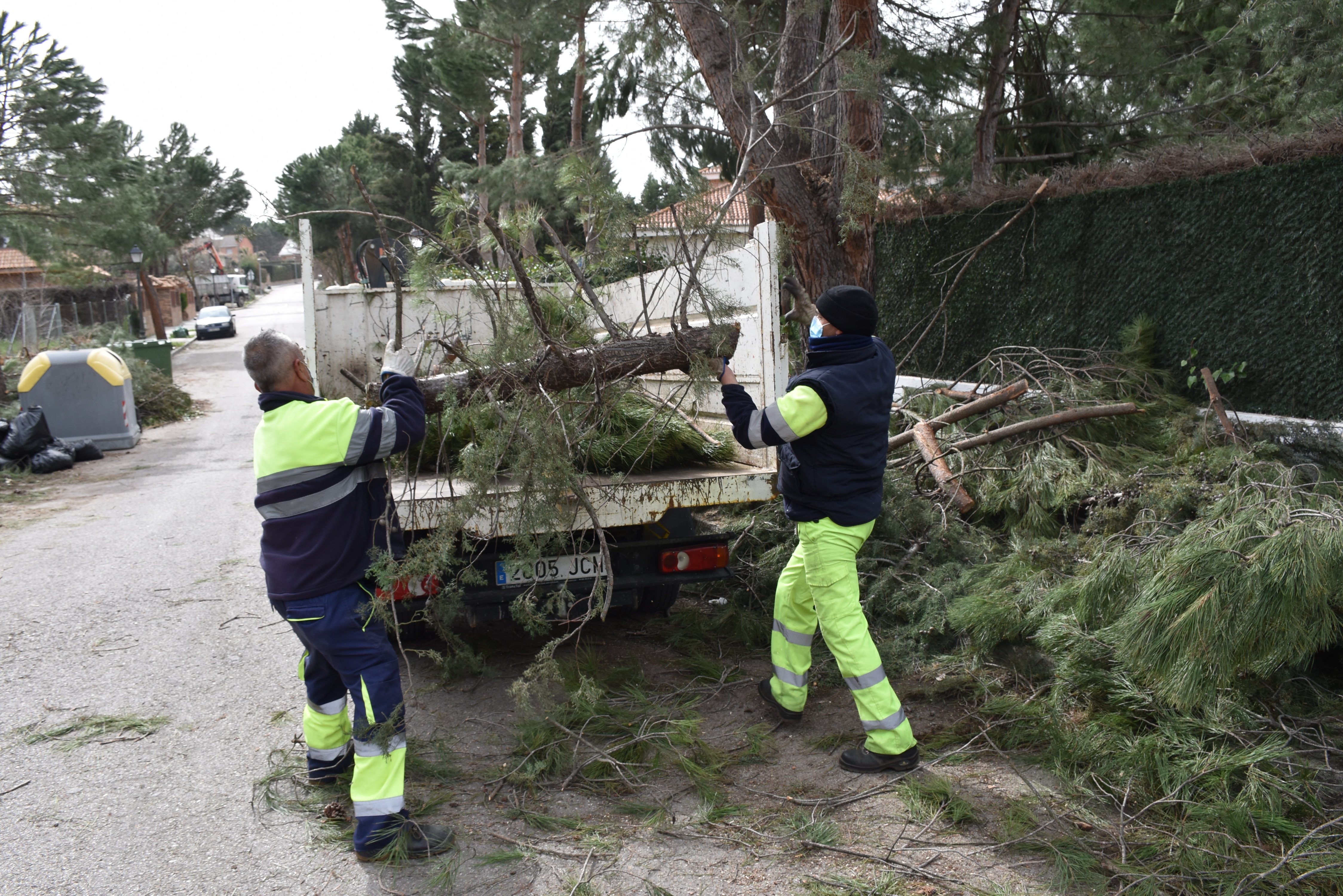 Texto Alternativo: El Ayuntamiento incrementa de forma significativa los medios humanos y materiales para la retirada de las calles de restos de ramas y árboles