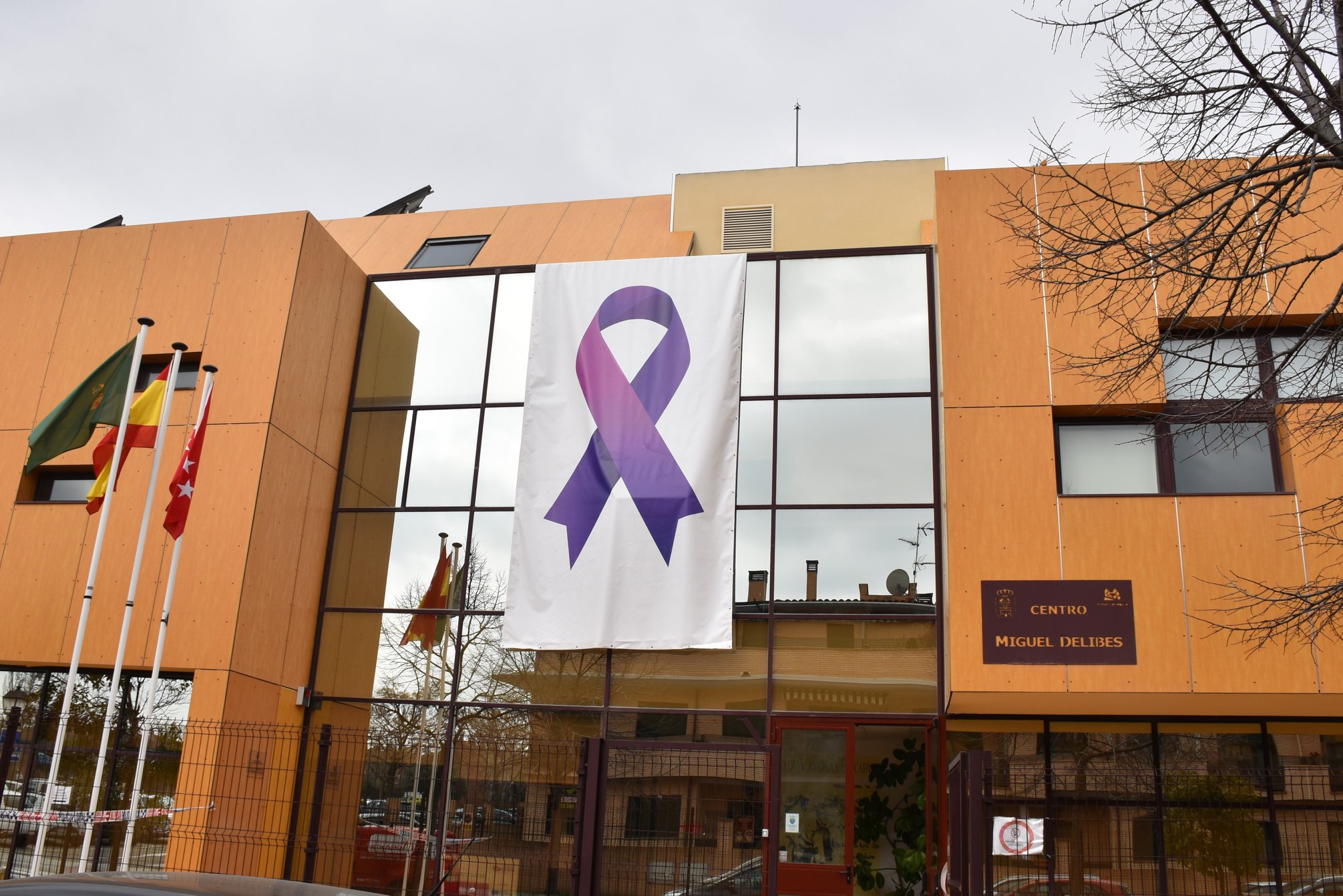 Texto Alternativo: Los principales edificios municipales ya lucen los lazos conmemorativos con motivo del Día Internacional de la Mujer