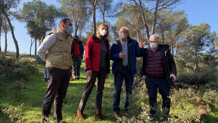 Texto Alternativo: Actuaremos sobre más de 600 hectáreas de 31 municipios dañadas por la borrasca Filomena
