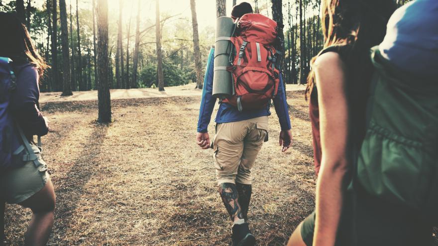 Texto Alternativo: El Gobierno de la Comunidad ofrece nuevas actividades de ocio gratuitas para centros educativos