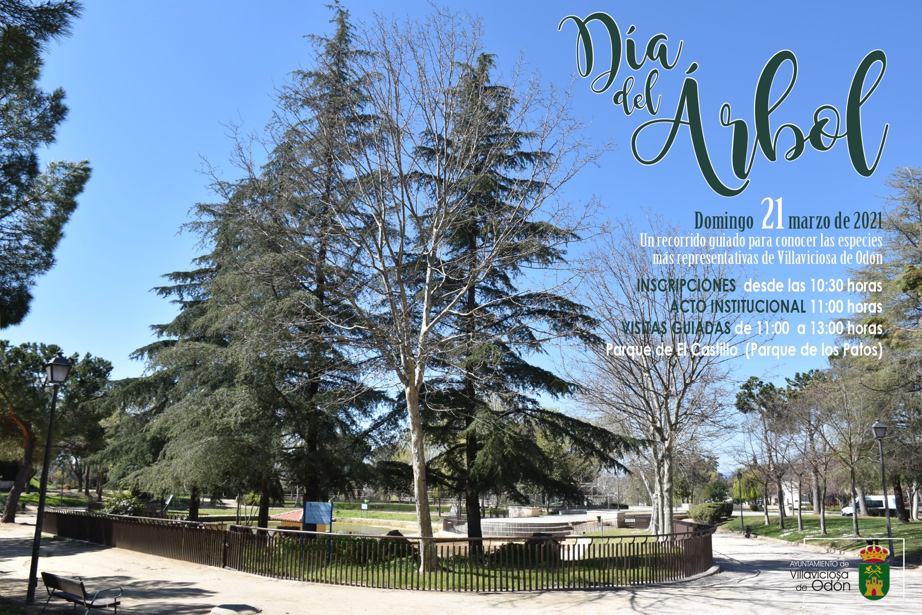 Texto Alternativo: Villaviciosa celebra el Día del Árbol con una visita guiada para conocer la riqueza arbórea del municipio