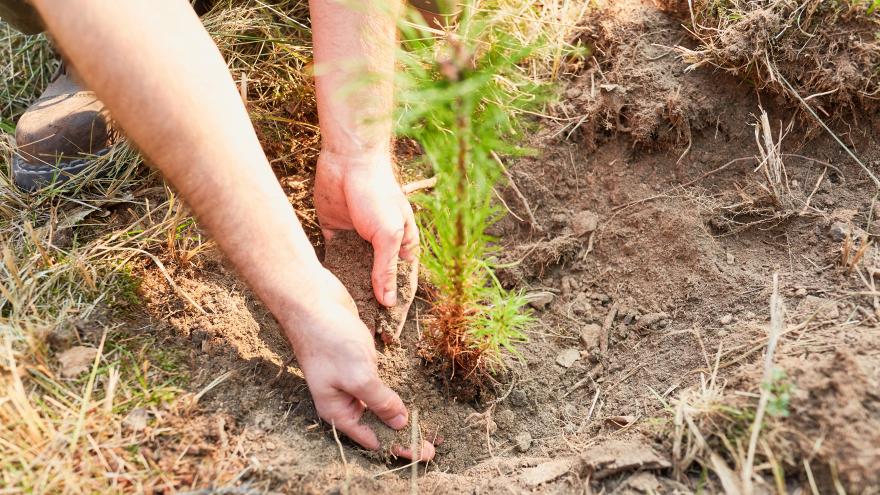 Texto Alternativo: El Gobierno de la Comunidad destina más de tres millones para acondicionar zonas verdes y forestales de Canal de Isabel II