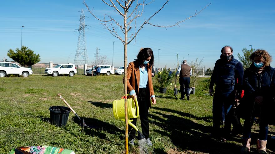 Texto Alternativo: Díaz Ayuso participa en el inicio de reforestación del Parque de la Alhóndiga en Getafe