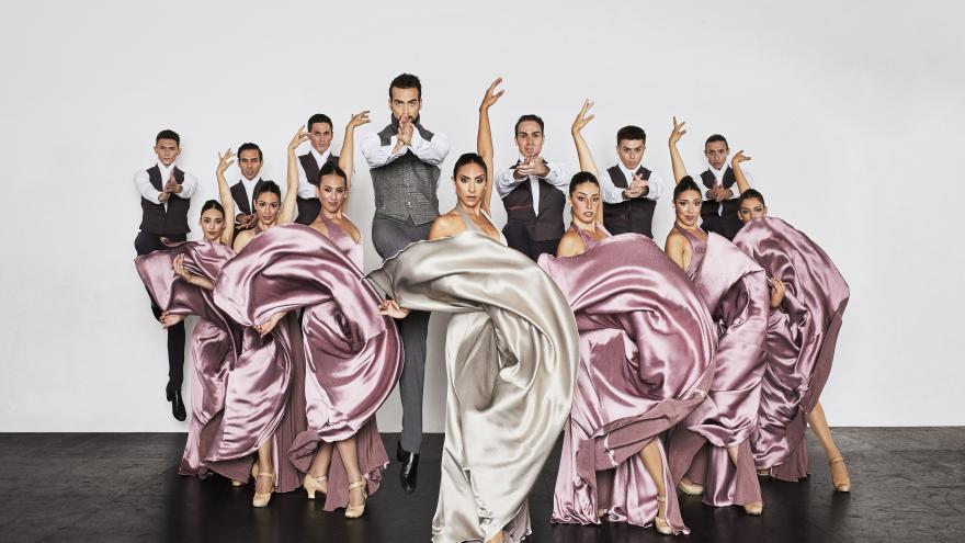 Texto Alternativo: El Gobierno de la Comunidad de Madrid presentamos una nueva edición del Festival Madrid en Danza