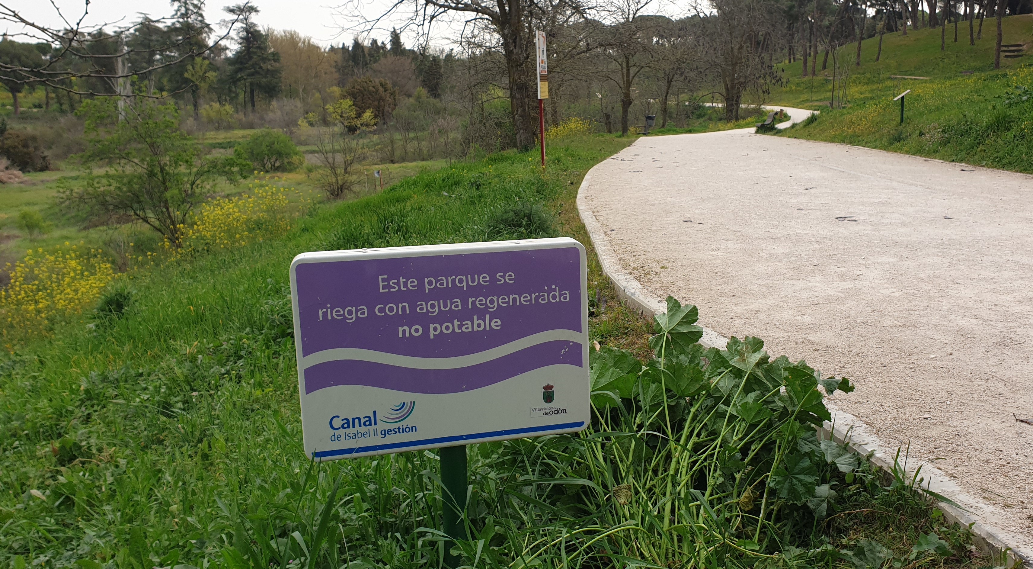 Texto Alternativo: La conexión de la Red Morada llega a El Forestal donde se podrán hacer riegos con agua regenerada