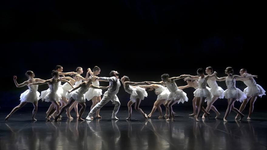 Texto Alternativo: Chiens de Navarre, el Ballet Preljocaj o Yllana, protagonistas de la programación cultural