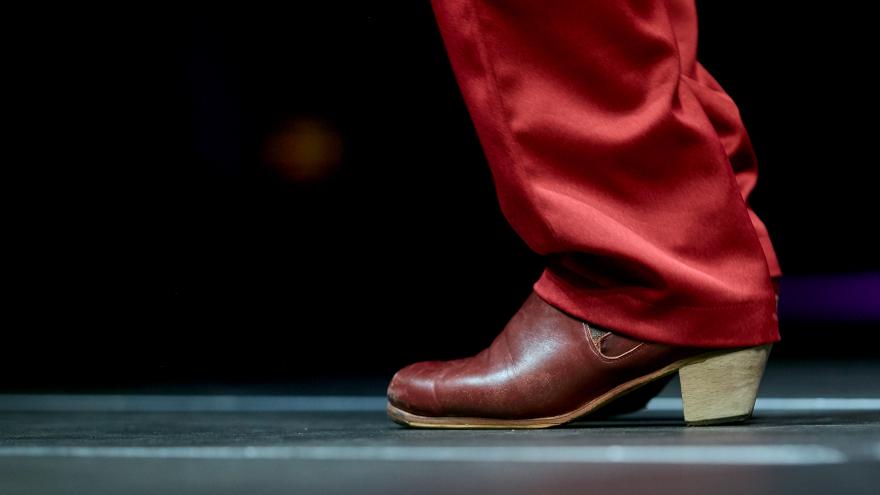 Texto Alternativo: El Gobierno de la Comunidad de Madrid presentamos la programación de Juntos por el Flamenco con motivo de la festividad del 2 de mayo