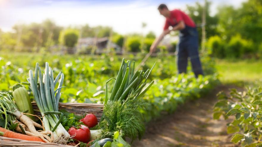 Texto Alternativo: Eliminamos la solicitud de calificación urbanística para 19 supuestos en instalaciones agrarias