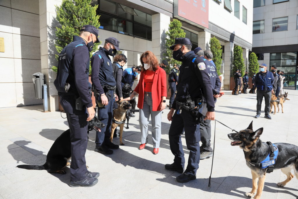 Texto Alternativo: Getafe acogió unas jornadas de prácticas del curso de guías caninos
