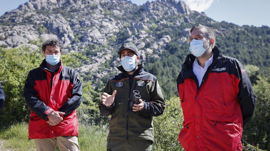 Texto Alternativo: El Gobierno de la Comunidad de Madrid protege el entorno natural de la Pedriza y logramos 100 crías de buitre leonado en un año