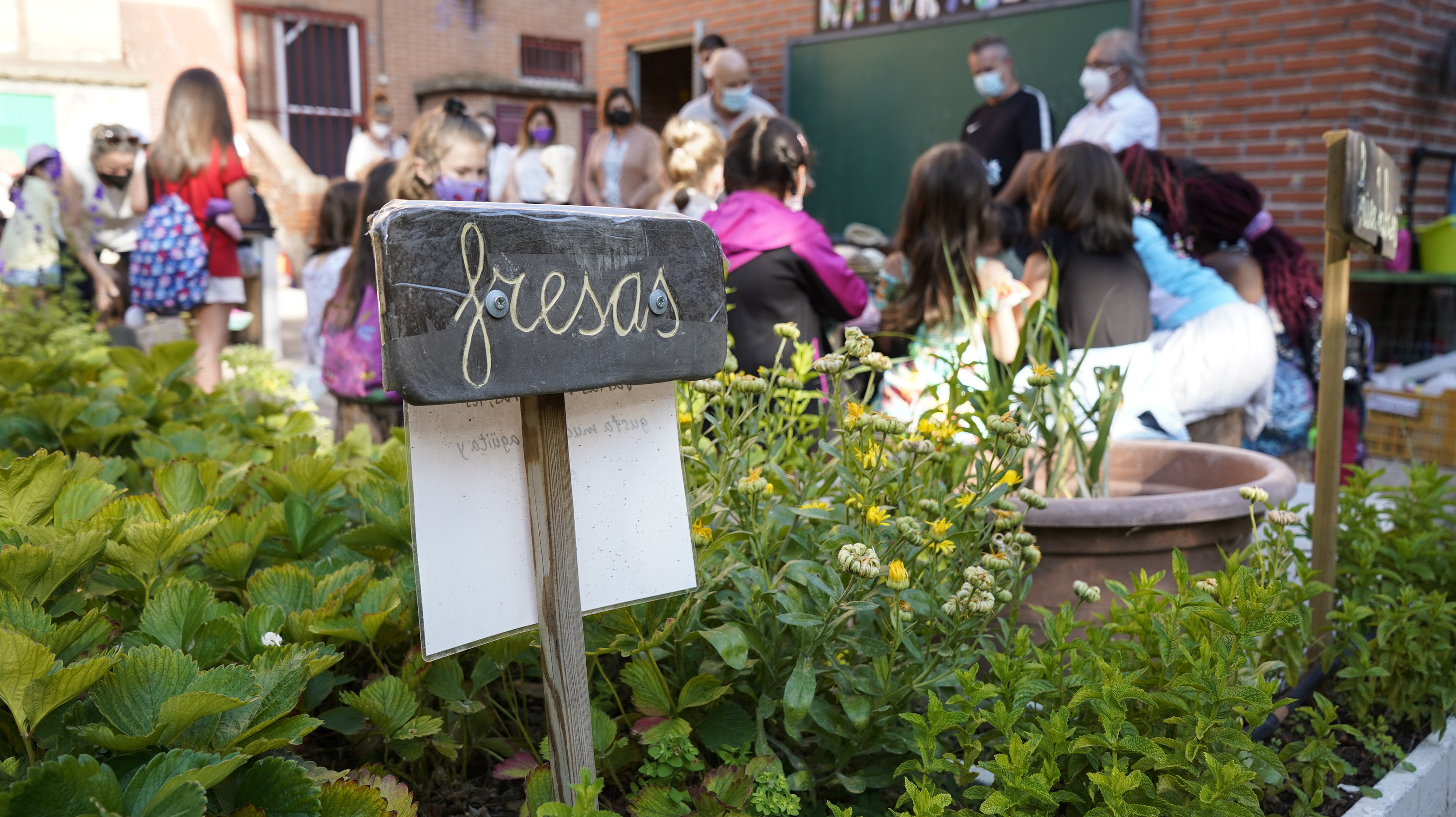 Texto Alternativo: La Alcaldesa de Móstoles visita un taller de plantación de setas dentro de la Semana del Medio Ambiente