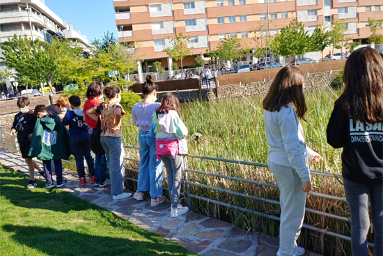 Texto Alternativo: El Ayuntamiento instala papeleras y un nuevo sanecan en el lago de Vereda tras escuchar las propuestas de los jóvenes de El Consejo