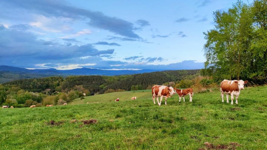 Texto Alternativo: Aumentamos las ayudas para apoyar a los jóvenes agricultores y ganaderos