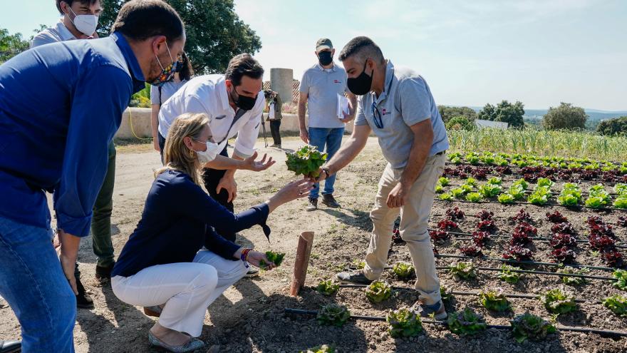 Texto Alternativo: La Comunidad propone productos de la huerta madrileña a disposición de la alta gastronomía