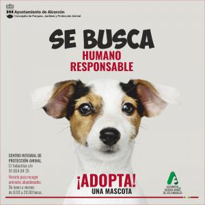 Texto Alternativo: La Concejalía de Parques, Jardines y Protección Animal inicia una campaña para evitar el abandono y fomentar la adopción de animales
