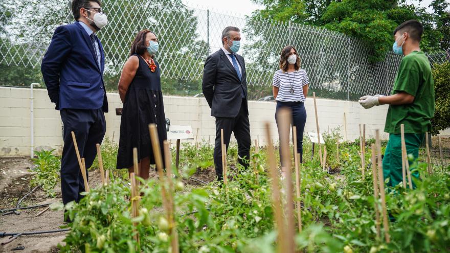 Texto Alternativo: El Gobierno de la Comunidad de Madrid facilita la inserción laboral de 340 menores y jóvenes infractores desde 2020