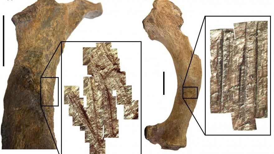 Texto Alternativo: Certificamos la presencia humana en Sudamérica hace más de 30.000 años