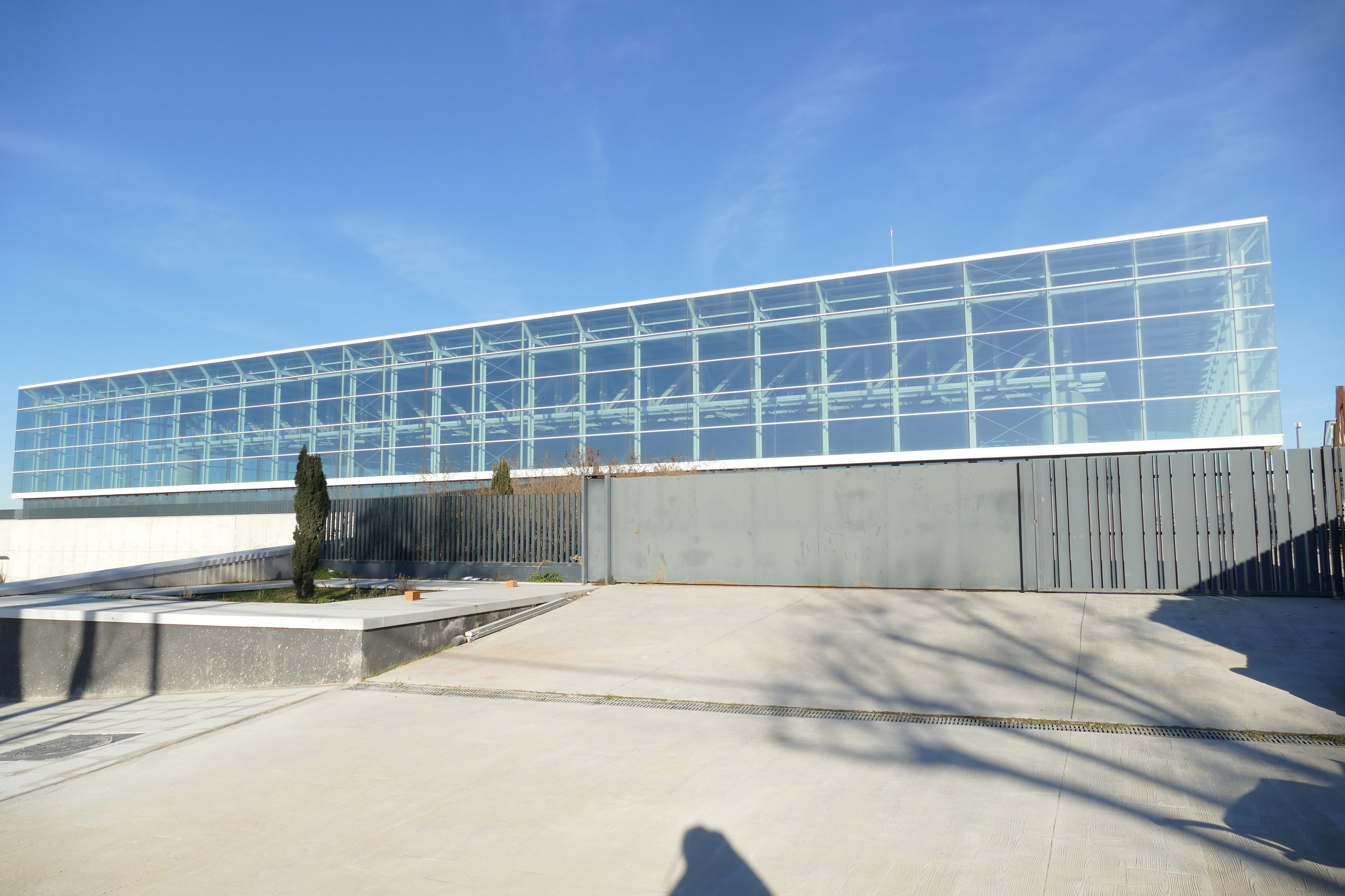 Texto Alternativo: El Gobierno de Móstoles convoca por primera vez becas para deportistas de Alto Nivel y de Alto Rendimiento