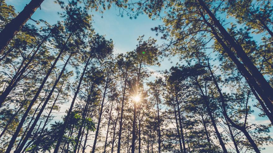 Texto Alternativo: Diseñamos 58 medidas en el nuevo Plan para la Descarbonización y cuidado del Medio Ambiente