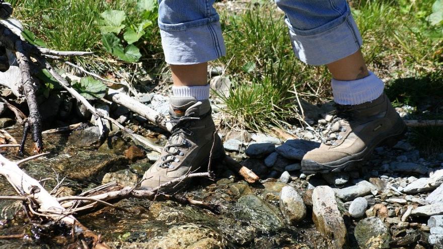 Texto Alternativo: El Gobierno de la Comunidad de Madrid propone visitar la ruta Mendocino que da inicio al Camino de Santiago desde la capital