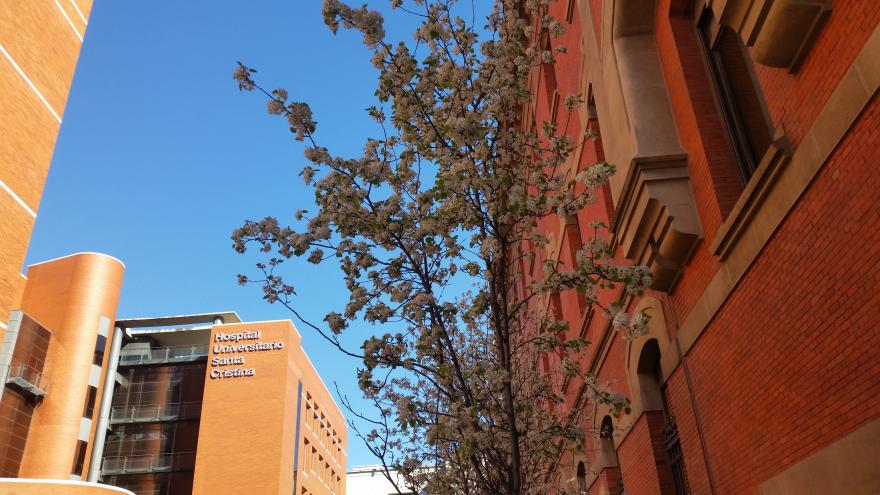 Texto Alternativo: El Hospital público Santa Cristina incorpora un robot en sus intervenciones de prótesis de rodilla