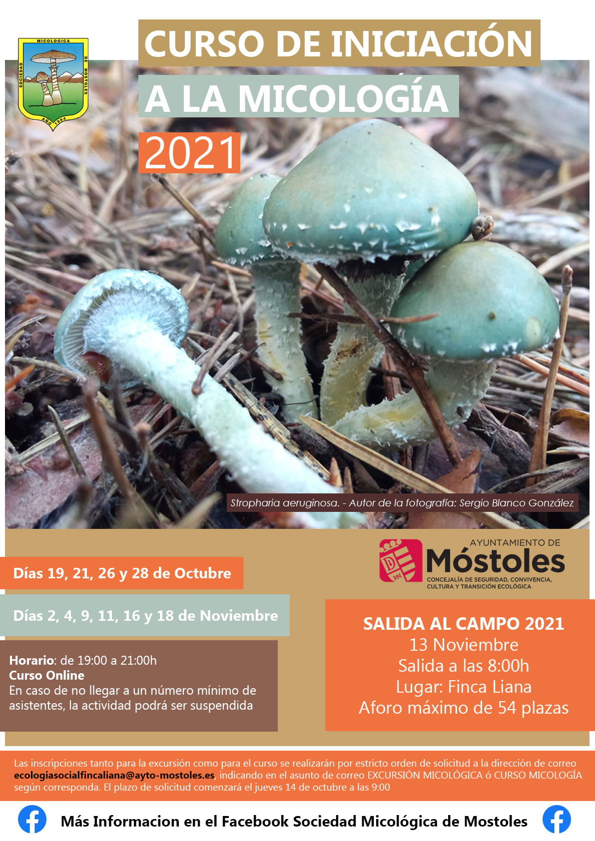 Texto Alternativo: La Concejalía de Transición Ecológica y la Sociedad Micológica de Móstoles organizan un curso de iniciación al mundo de las setas