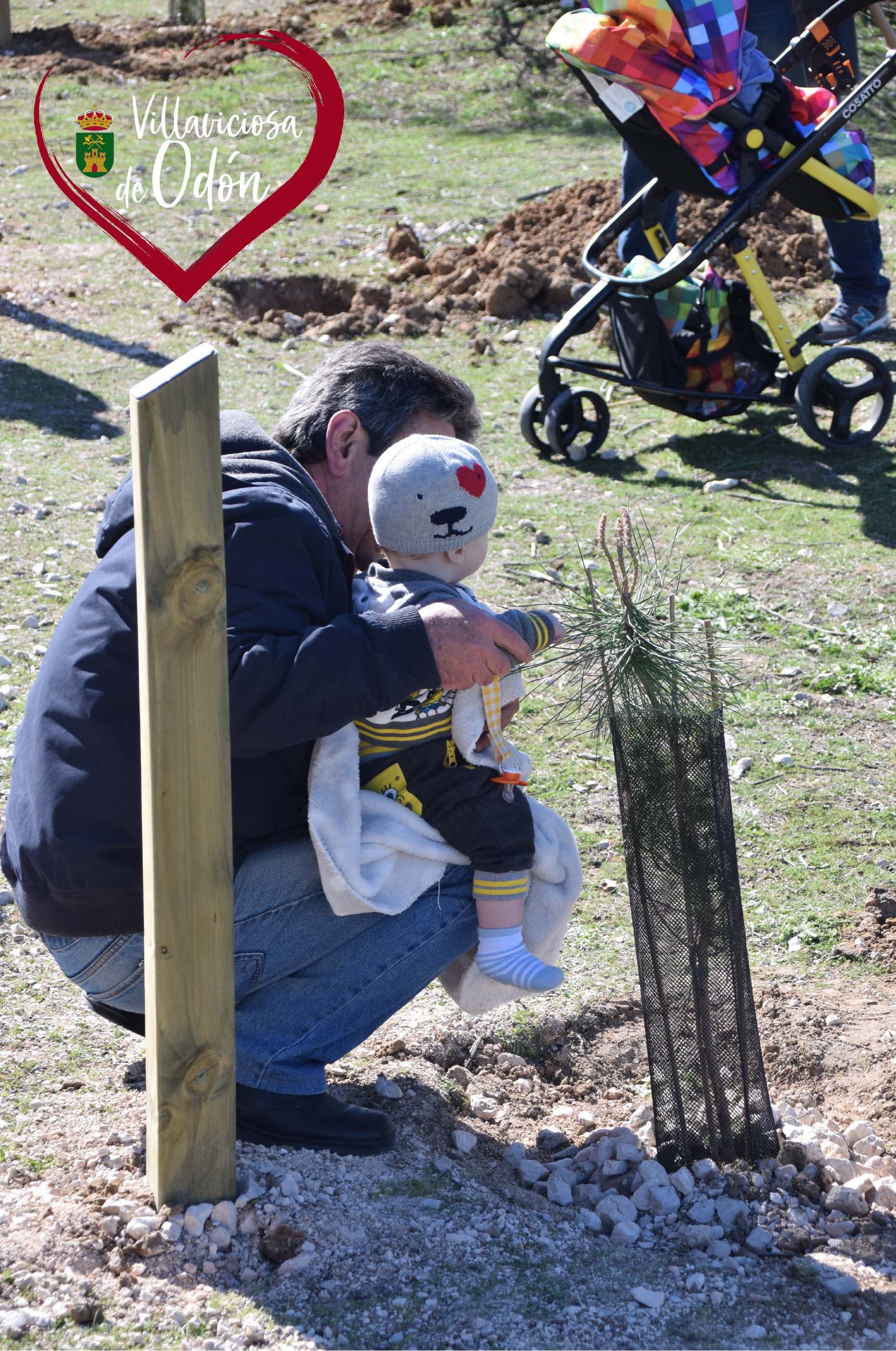 Texto Alternativo: Los niños y niñas nacidos en 2019 tendrán un árbol identificado con su nombre durante la plantación que se celebrará el 7 de noviembre