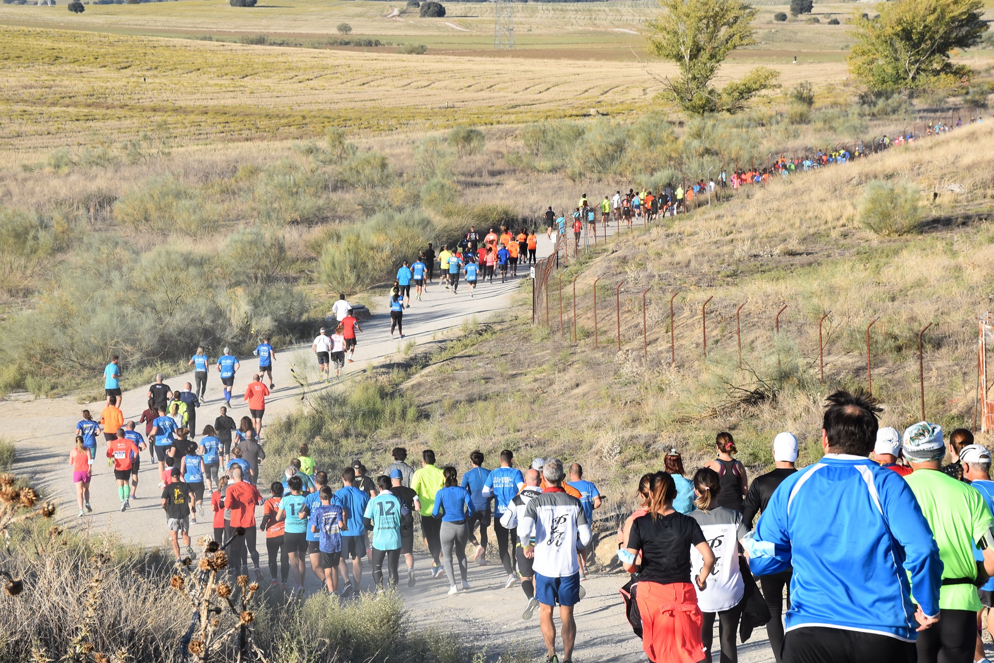 Texto Alternativo: La XLII edición de la Carrera Popular bate su récord de participación en un ambiente festivo