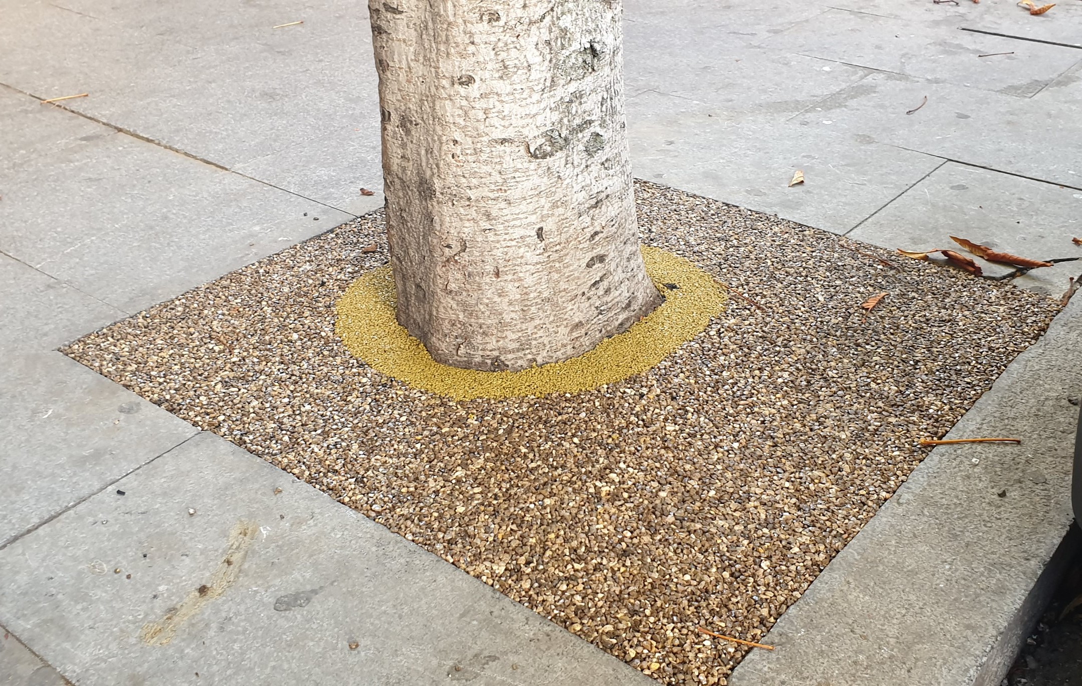 Texto Alternativo: El Ayuntamiento instala pavimento de caucho y grava en alcorques para facilitar la movilidad y accesibilidad