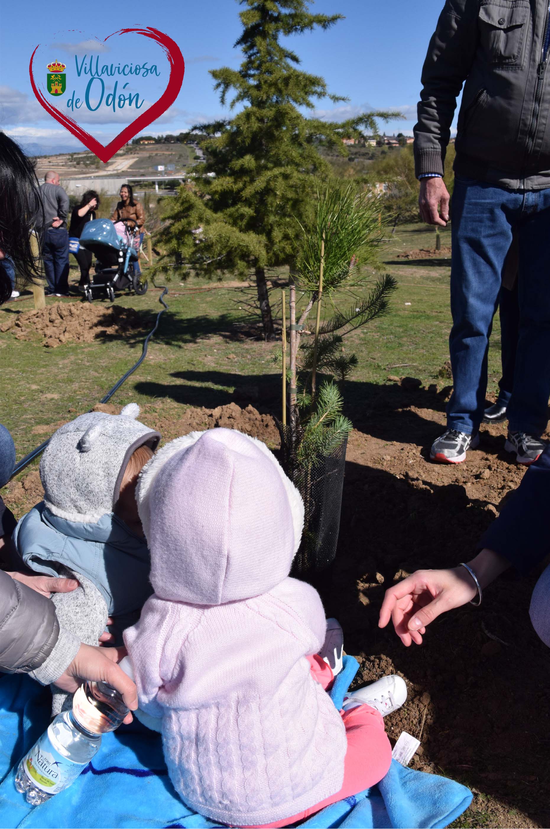 Texto Alternativo: Este domingo los niños y niñas nacidos en 2019 tendrán un árbol identificado con su nombre