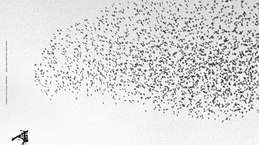 Texto Alternativo: Damos el pistoletazo de salida a la 39 edición del Festival de Otoño