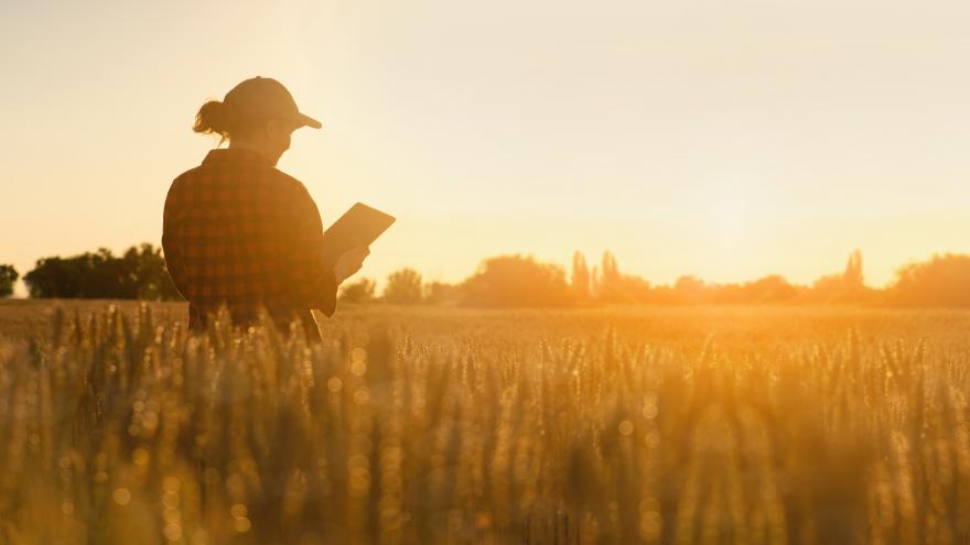 Texto Alternativo: El Gobierno de la Comunidad promueve la participación social y laboral de las mujeres del ámbito rural
