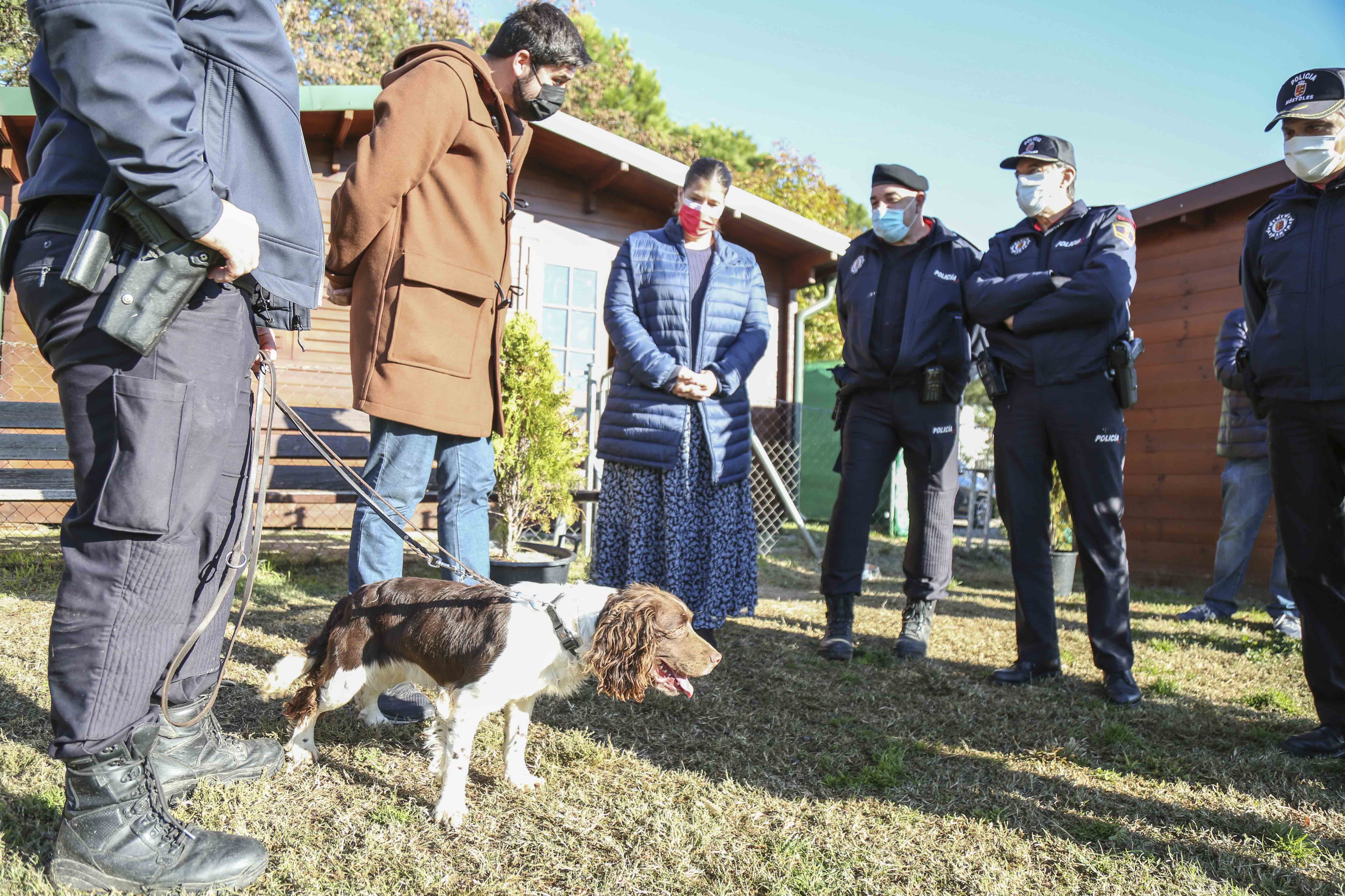 Texto Alternativo: La Unidad Canina de la Policía Municipal estrena instalaciones donde imparte las actividades a los escolares de Móstoles